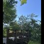 IMG_4450.jpeg